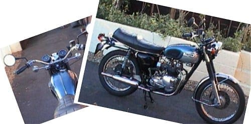 triumph t100 daytona for sale